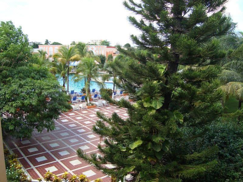 Photo of Others in Colonos Cuzamil