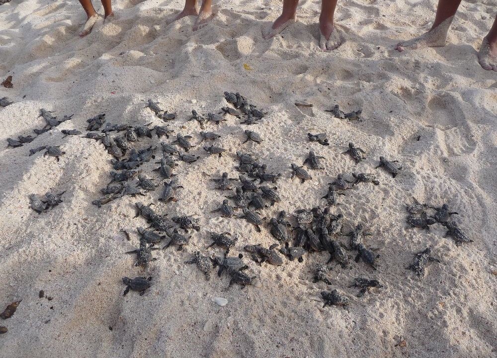 Photo of Outdoor in Akumal
