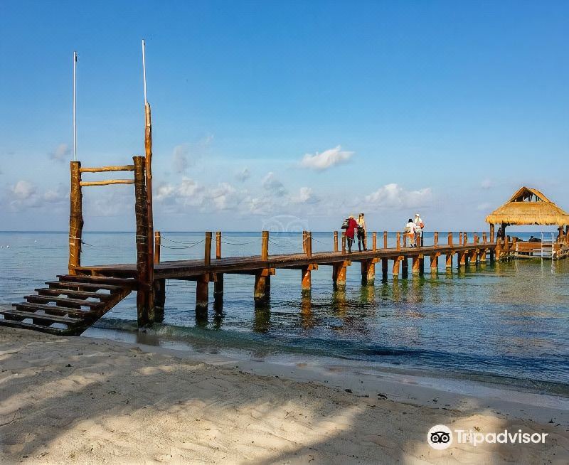 Photo of Outdoor in Costa Maya