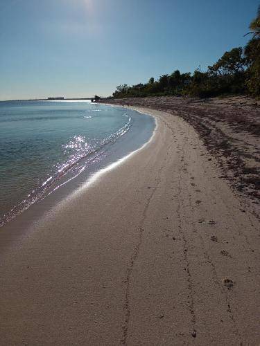 Photo of Others in Puerto Morelos