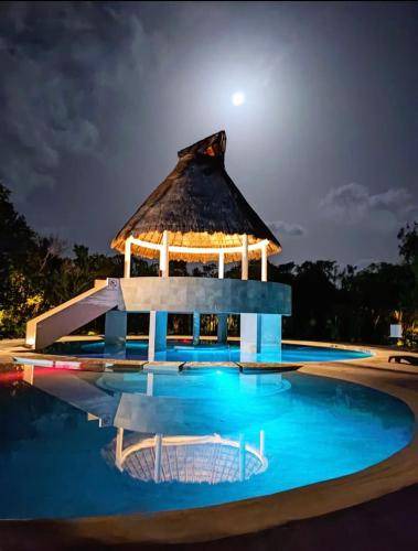 Photo of Others in Puerto Morelos