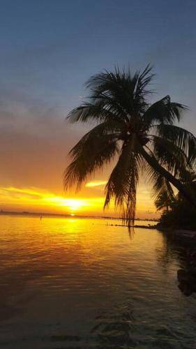 Photo of Outdoor in Isla Mujeres