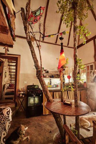 Photo of Livingroom in Macario Gomez