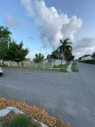 Photo of Others in Chetumal