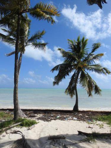 Photo of Others in Punta Allen