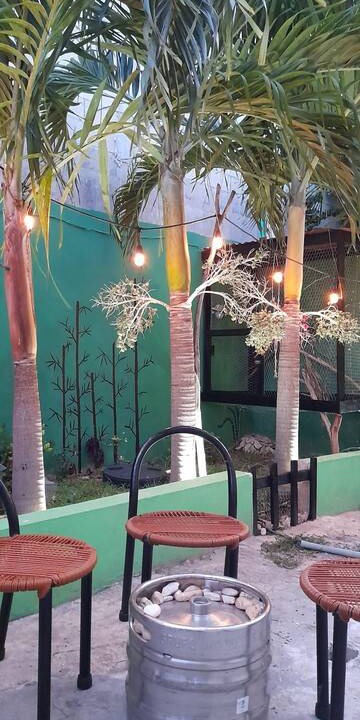 Photo of Others in Chetumal