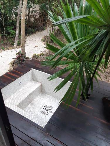 Photo of Others in Bacalar