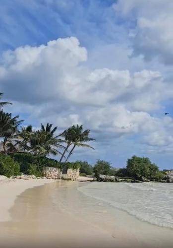 Photo of Others in Tulum