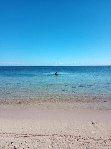 Photo of Others in Puerto Morelos