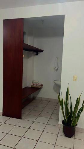 Photo of Others in Chetumal