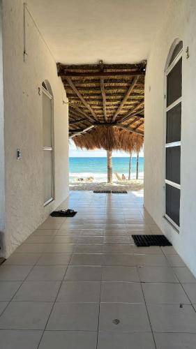 Photo of Others in Puerto Morelos