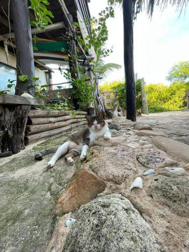 Photo of Others in Puerto Morelos