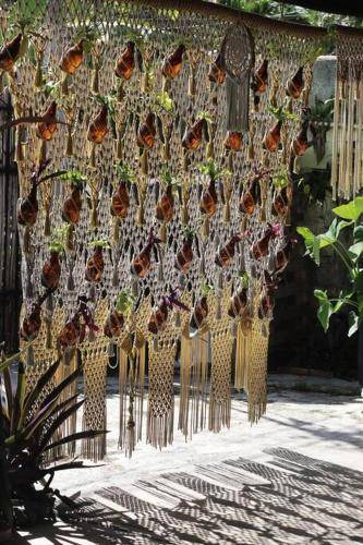 Photo of Others in Bacalar