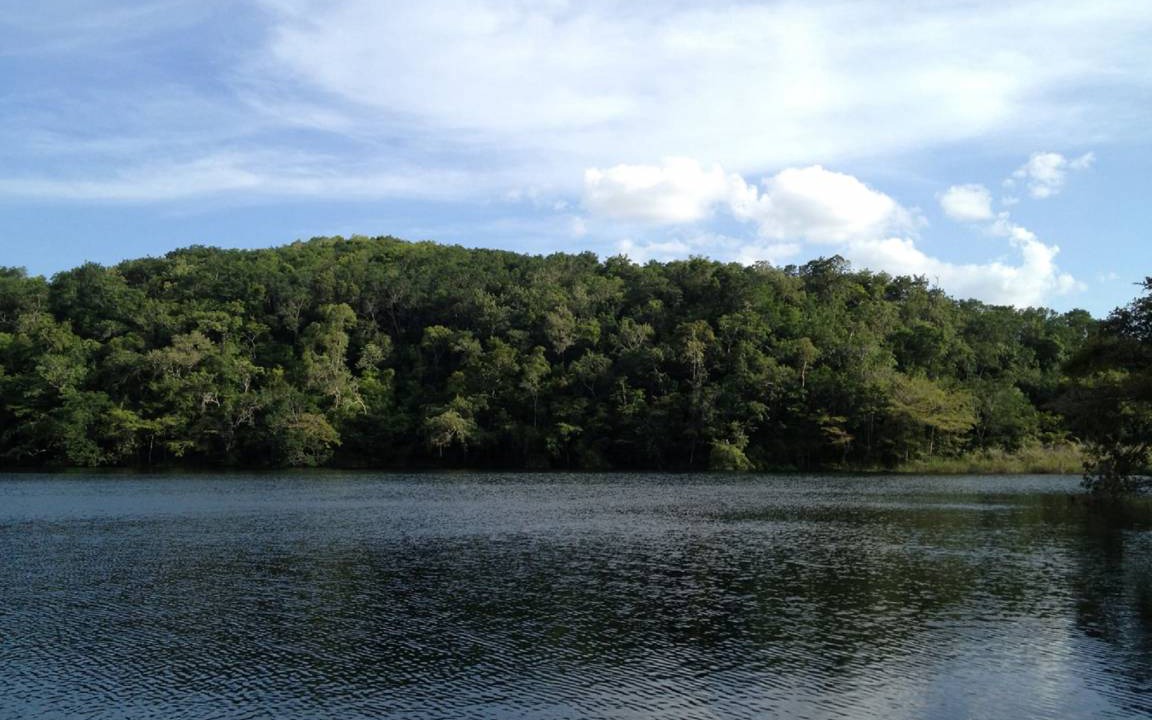 Photo of Others in Estero Franco