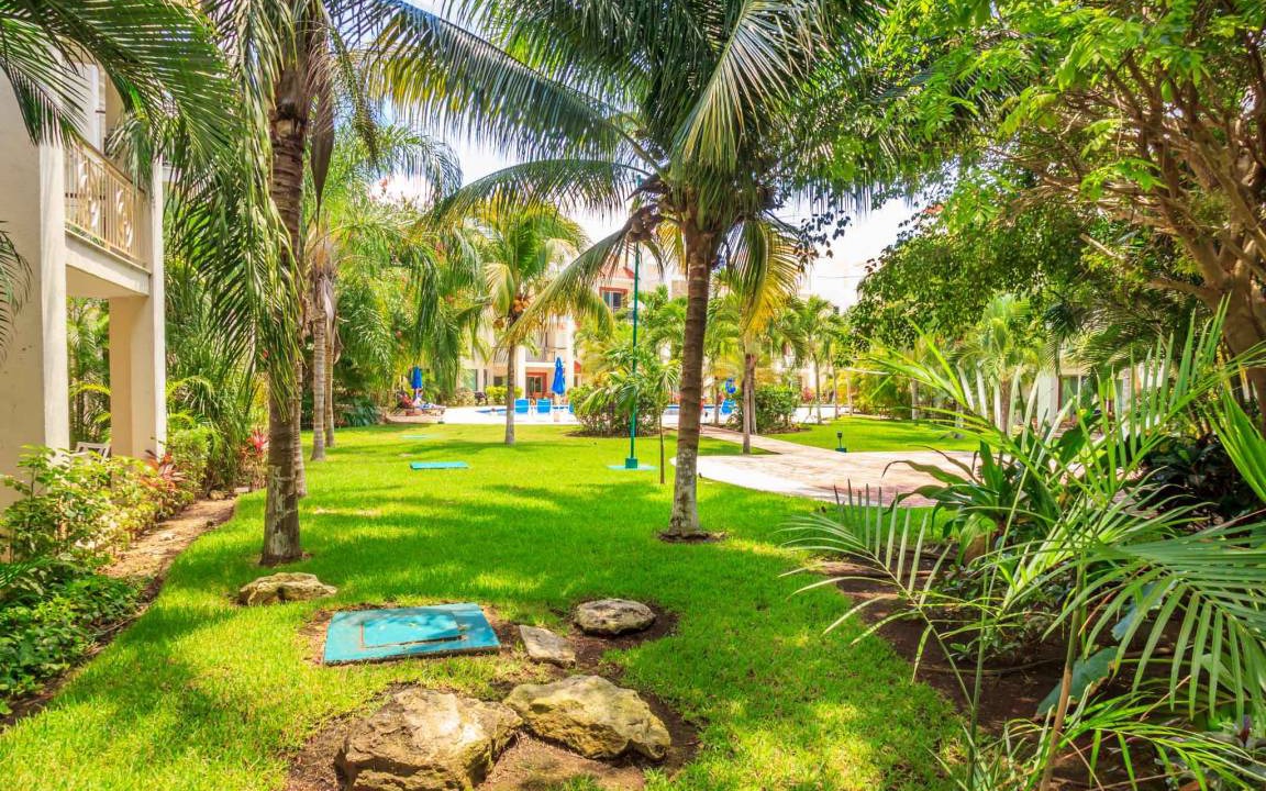 Photo of Others in Playacar