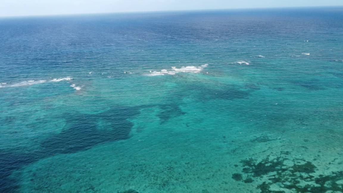 Photo of Others in Mahahual