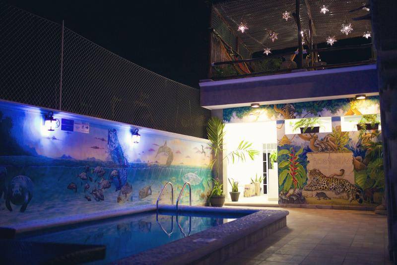 Photo of Others in Chetumal