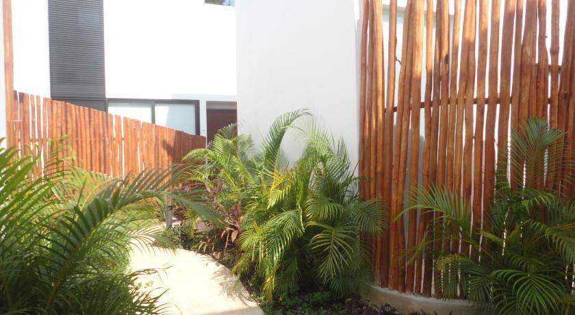 Photo of Others in Akumal