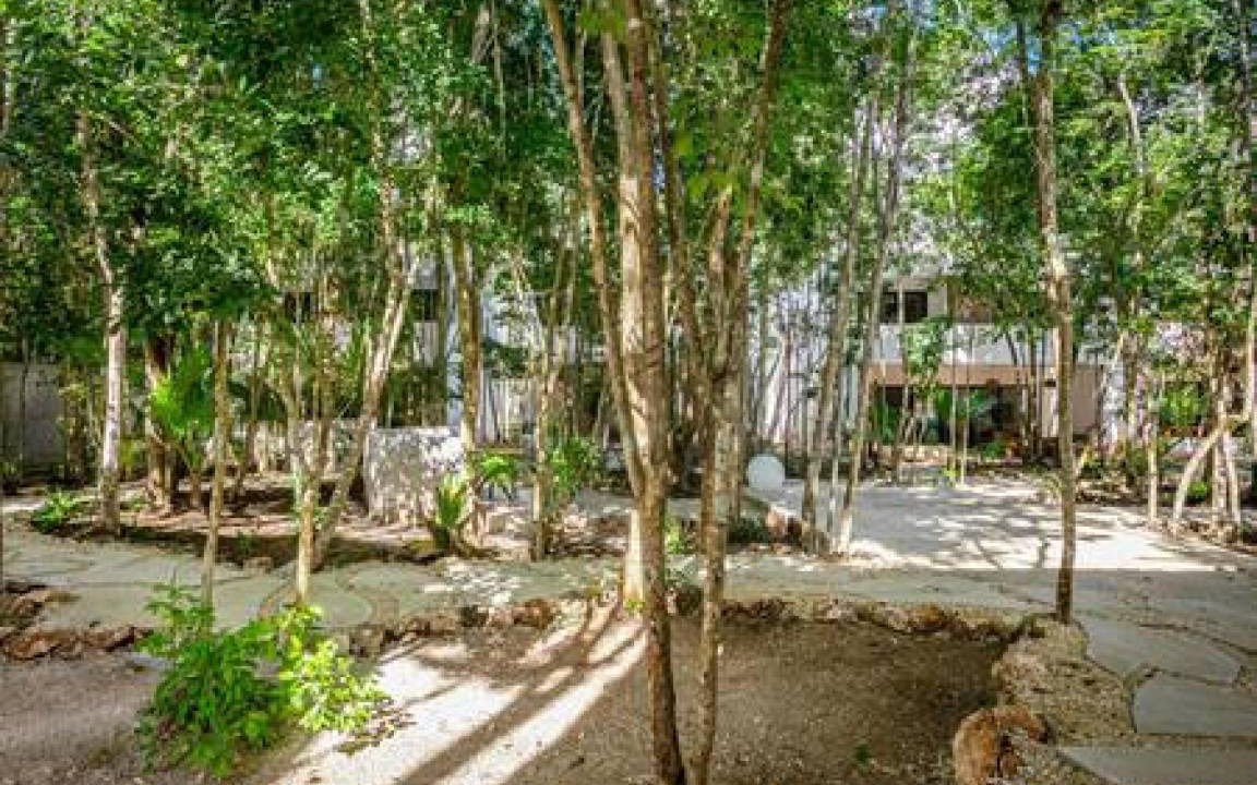 Photo of Others in Bacalar