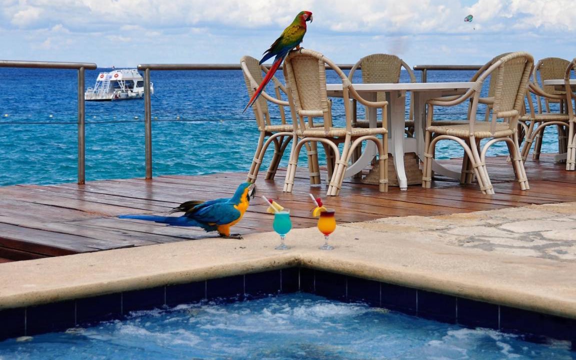 Photo of Others in Cozumel