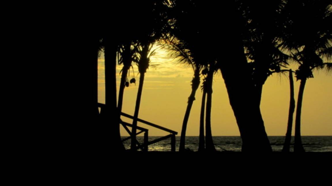 Photo of Others in Mahahual