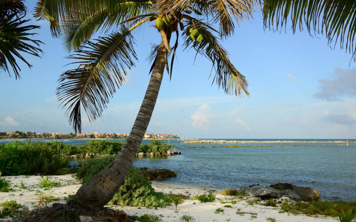 Photo of Others in Puerto Aventuras