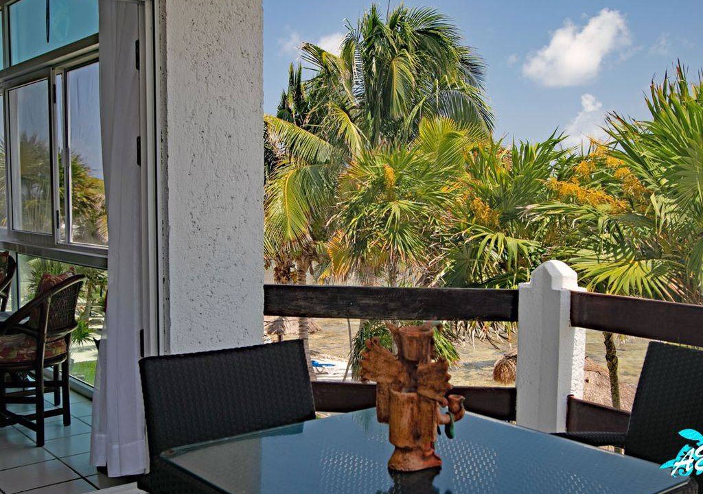 Photo of Others in Akumal