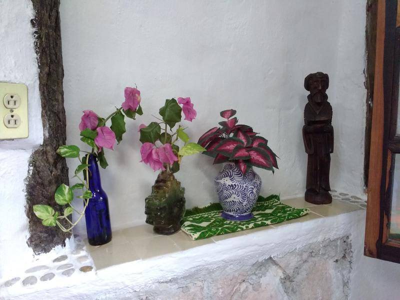 Photo of Others in Puerto Morelos