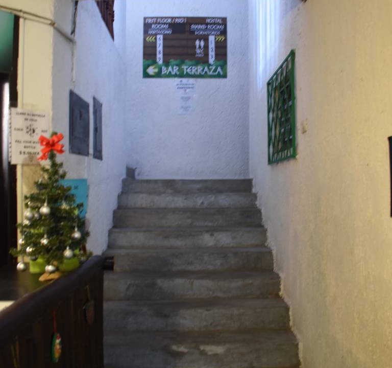 Photo of Others in Tulum City Center