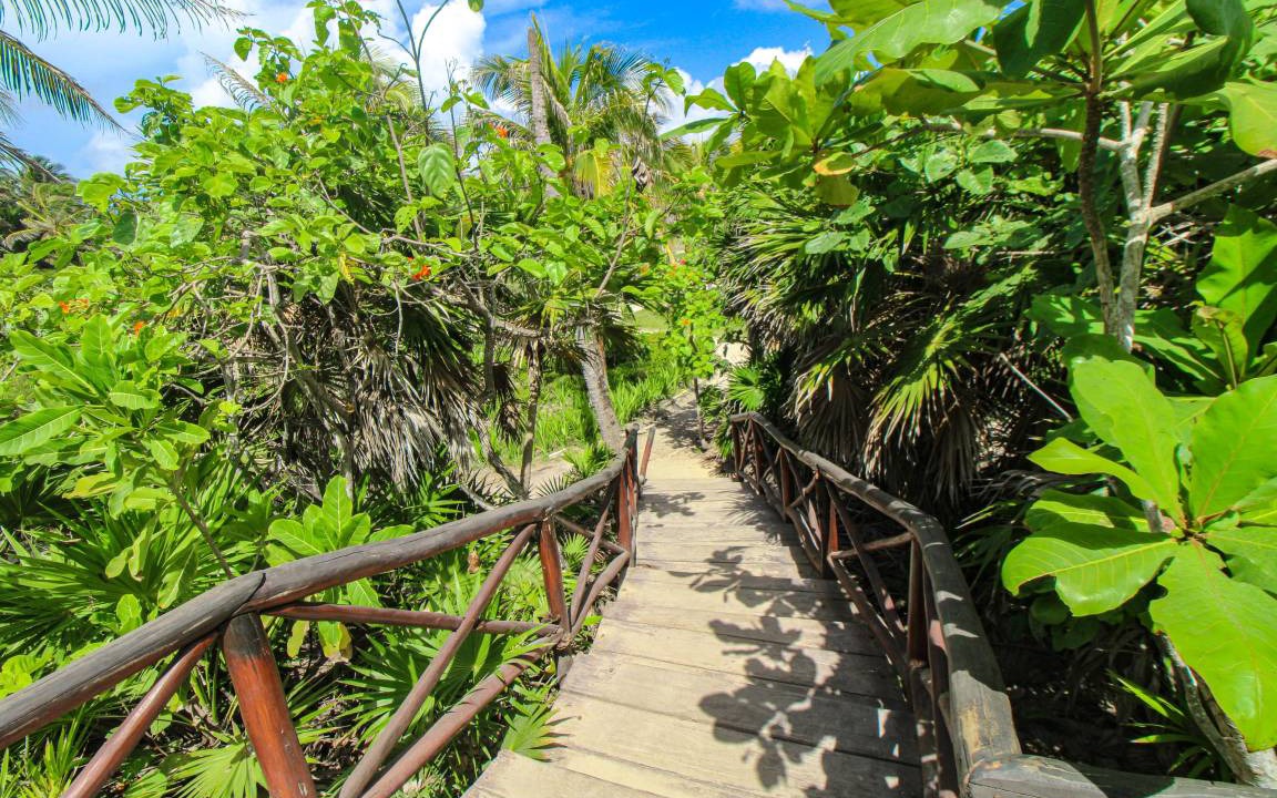 Photo of Others in Tulum