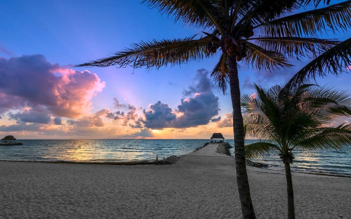 Photo of Others in Puerto Morelos