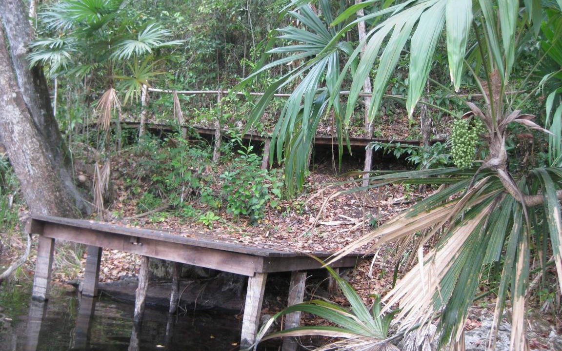Photo of Others in Estero Franco