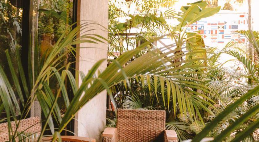 Photo of Others in Tulum