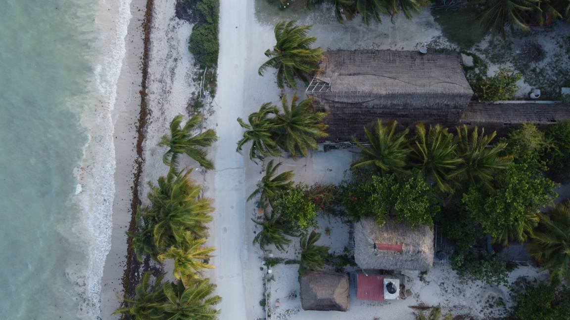 Photo of Others in Mahahual