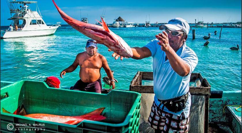 Photo of Others in Puerto Morelos