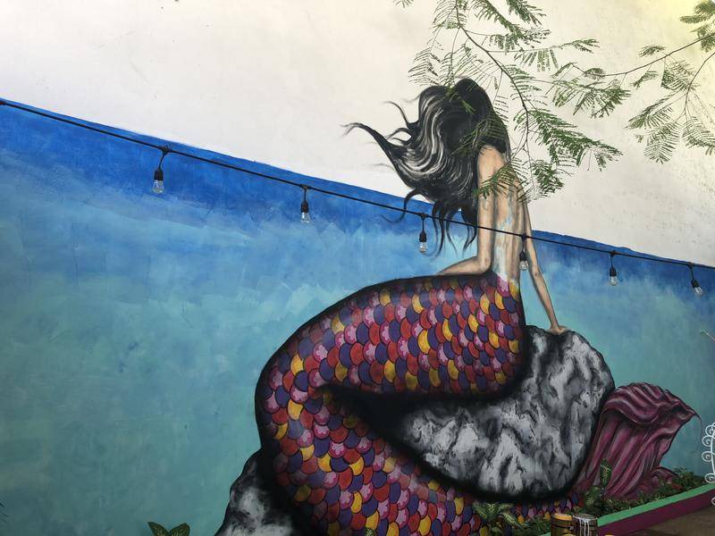 Photo of Others in Downtown Cancun