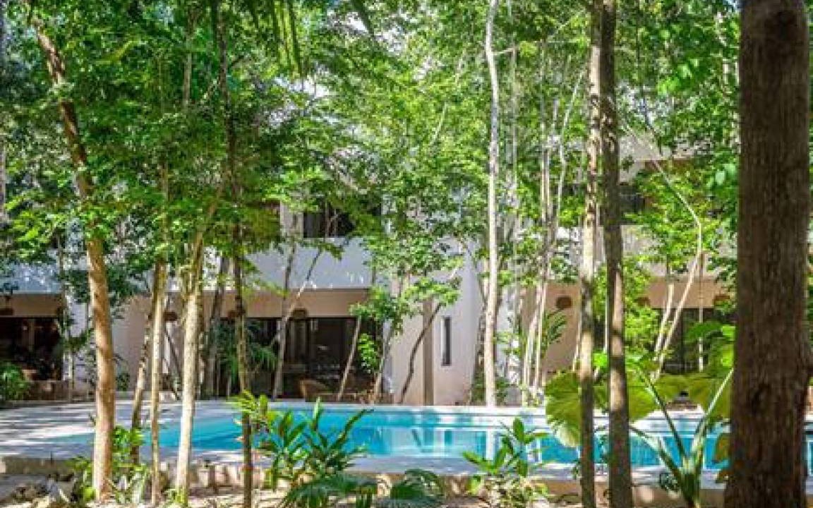 Photo of Others in Bacalar