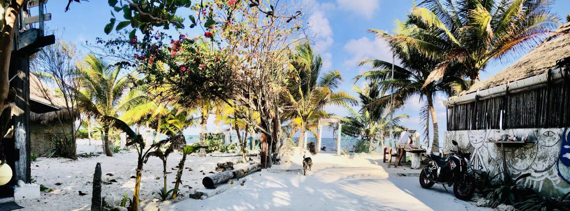 Photo of Others in Mahahual