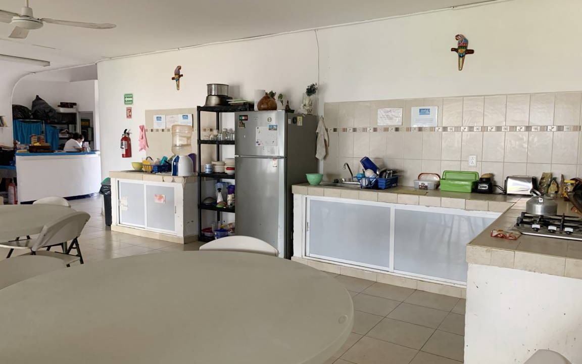 Photo of Kitchen in Centro