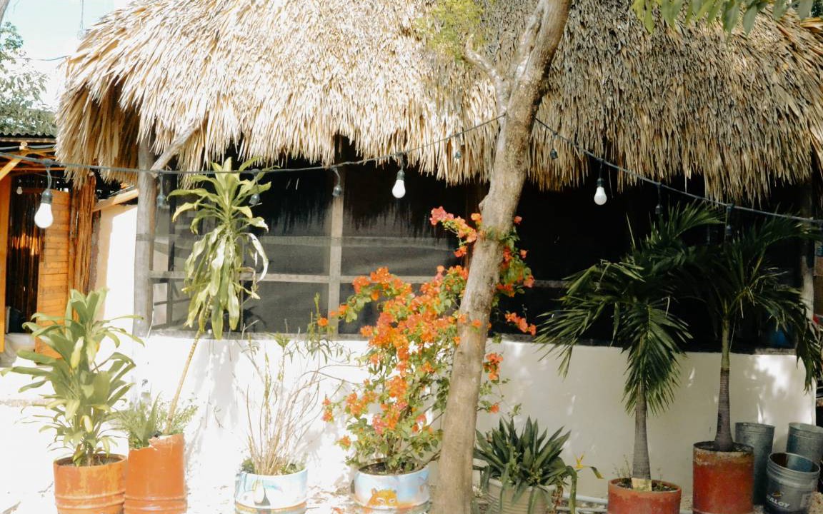 Photo of Others in Tulum City Center