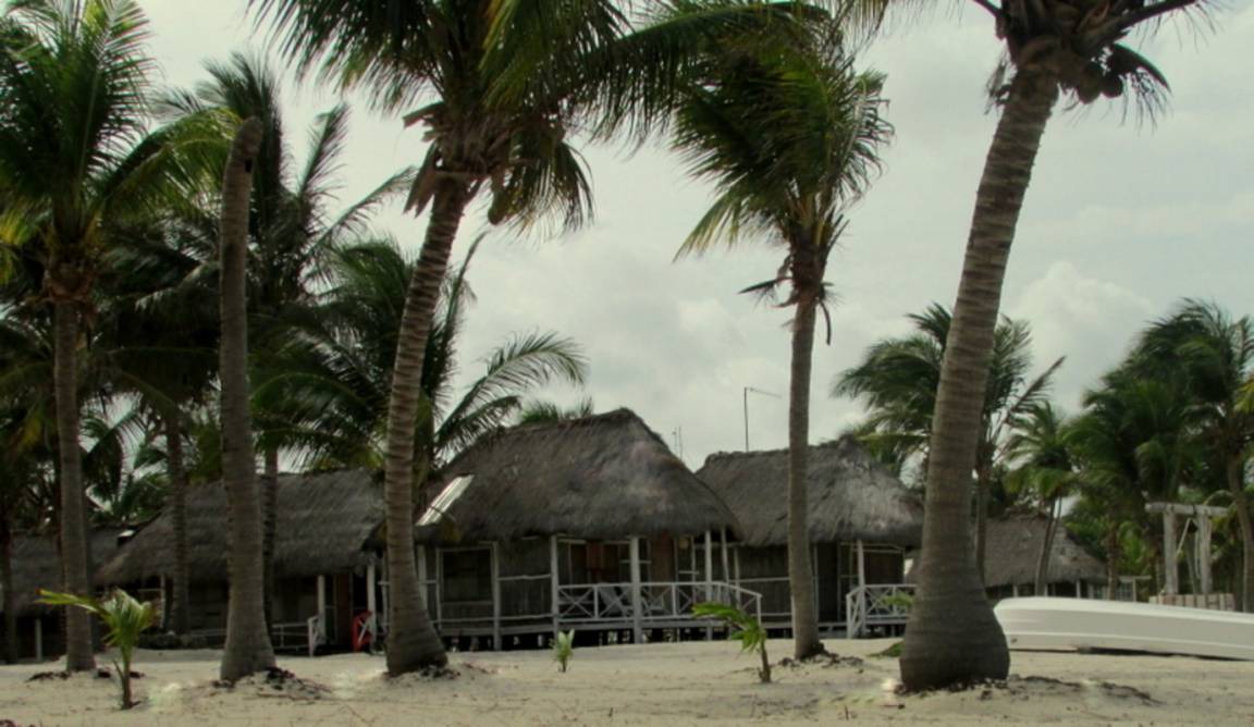 Photo of Others in Mahahual