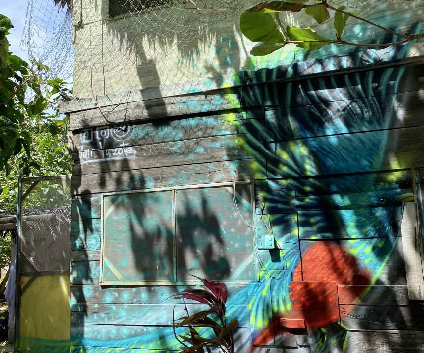 Photo of Others in Mahahual