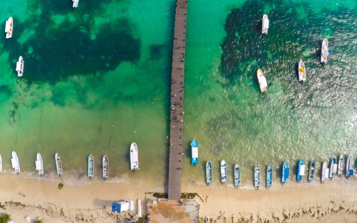 Photo of Others in Puerto Morelos