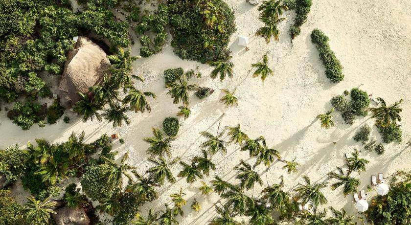 Photo of Others in Punta Allen