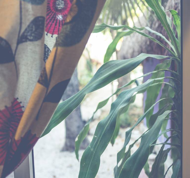 Photo of Others in Tulum City Center