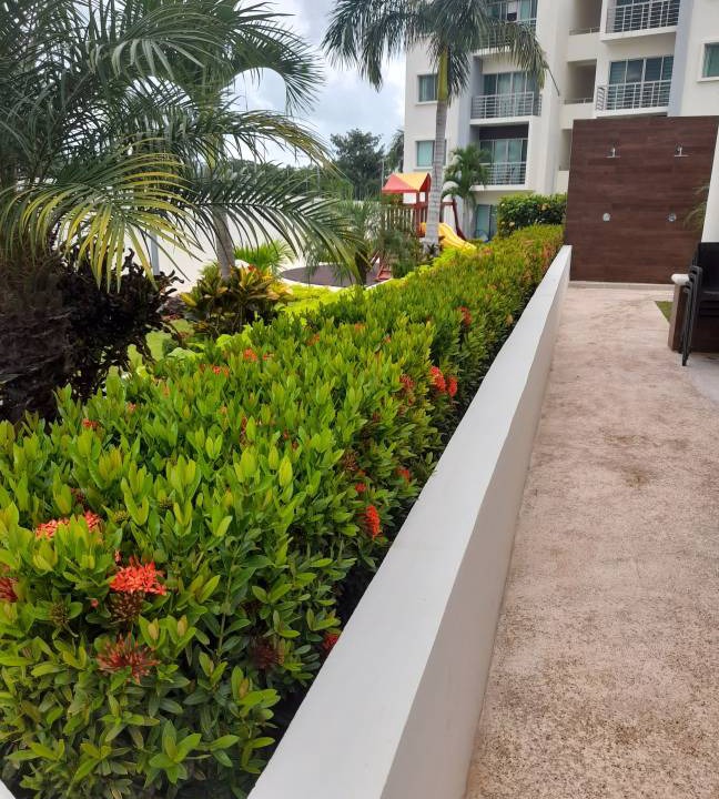 Photo of Others in Cancun