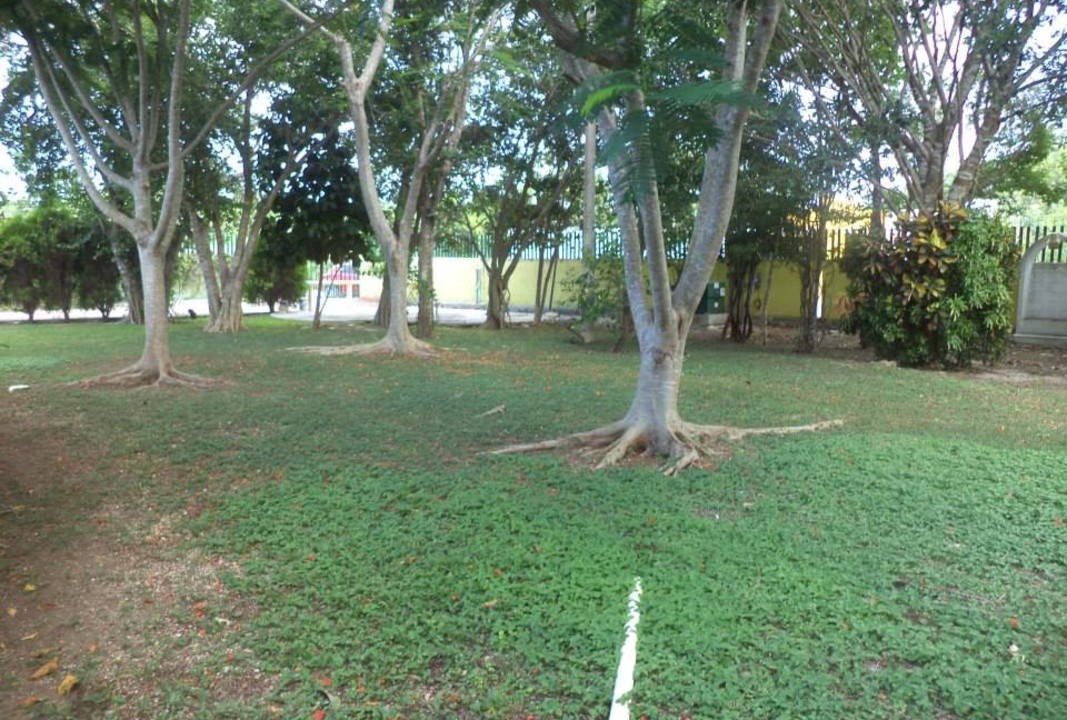 Photo of Outdoor in Alfredo V. Bonfil