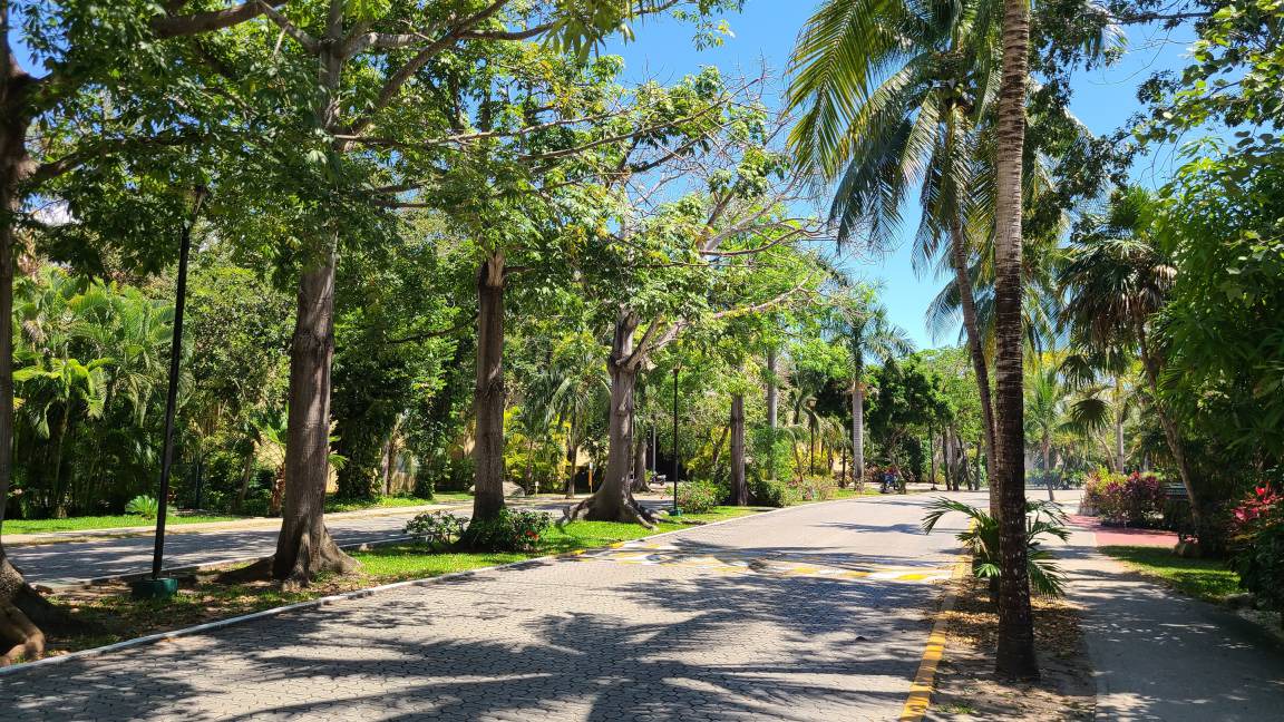 Photo of Outdoor in Playacar