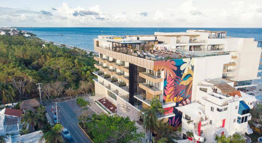 Photo of Others in Puerto Morelos