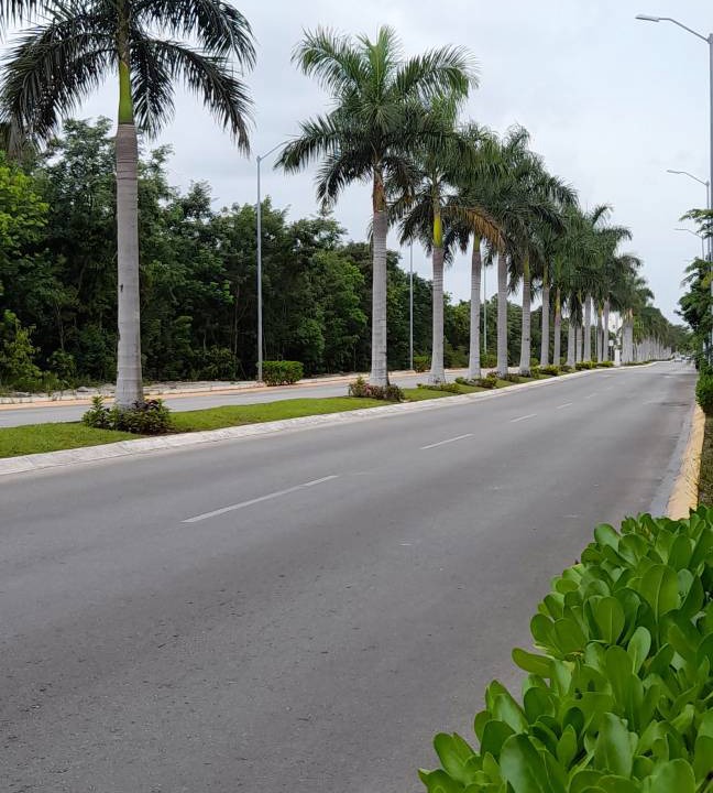 Photo of Others in Cancun